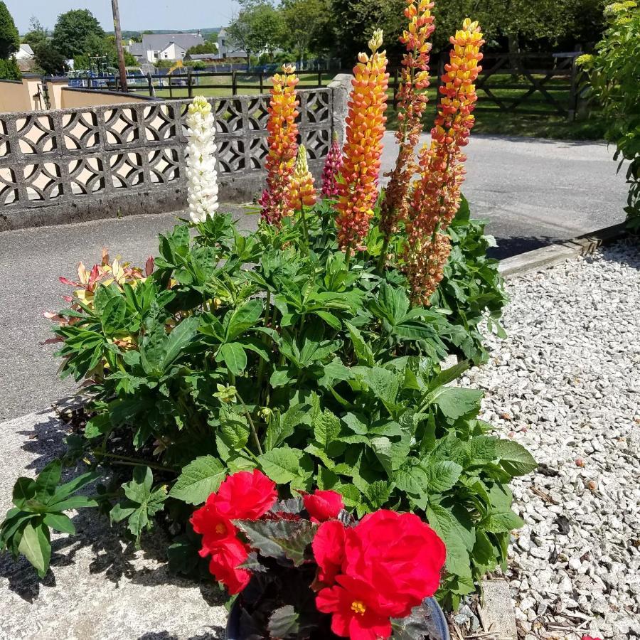 Eden'S Rest Bed And Breakfast Bugle Екстер'єр фото
